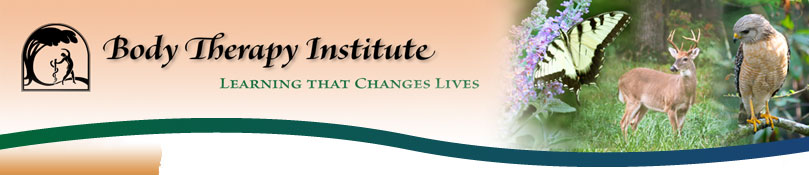 About BTI