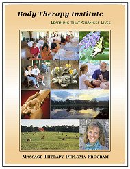 Immediately download a FREE BTI School Catalog